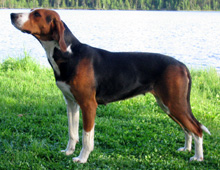 kuva � Johanna Alasuutari 