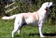 kuva &copy; Johanna Alasuutari