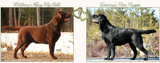 copyright &copy; Johanna Alasuutari