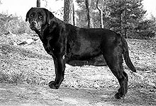 kuva � Johanna Alasuutari