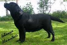 kuva &copy; Anu Honkapirtti 