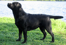 photo � Johanna Alasuutari 