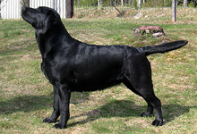 kuva � Johanna Alasuutari 