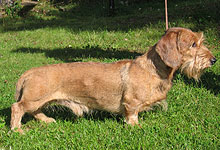 photo � Johanna Alasuutari