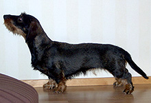 kuva &copy; Johanna Alasuutari