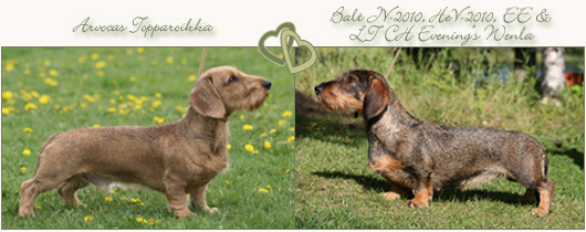 copyright &copy; Johanna Alasuutari