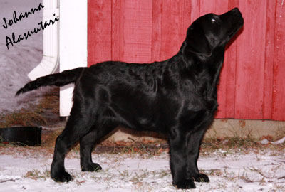 kuva � Johanna Alasuutari