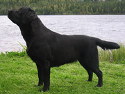 photo © Johanna Alasuutari