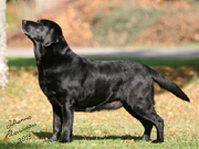 photo © Johanna Alasuutari