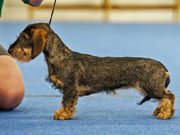 kuva © Johanna Alasuutari 